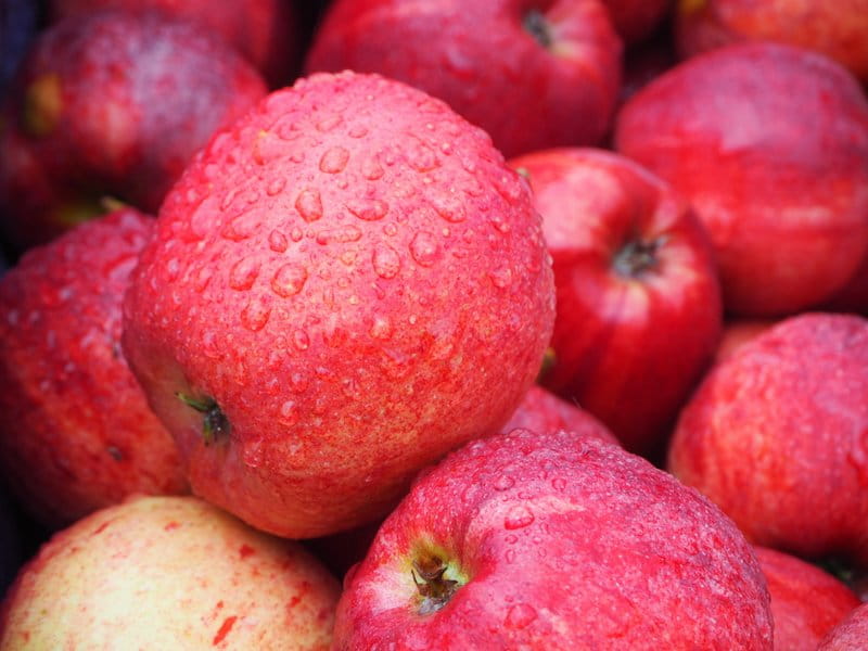 Mniej jabłek w holenderskich sadach. Stracą trzy odmiany