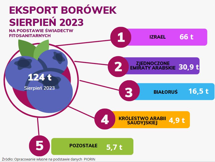 Eksport borówek w sierpniu 2023 — do jakich krajów?