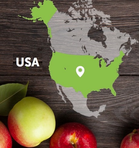 USA - rynek jabłek 