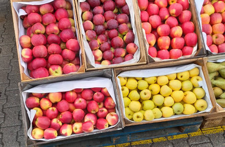 Ukraina: opłaca nam się kupować jabłka z Polski