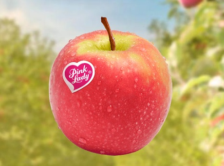 Europejscy plantatorzy jabłek Pink Lady spodziewają się dobrych zbiorów w 2022 r.