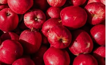 Mniejsze jabłka i gruszki przez niespotykane w Europie upały 