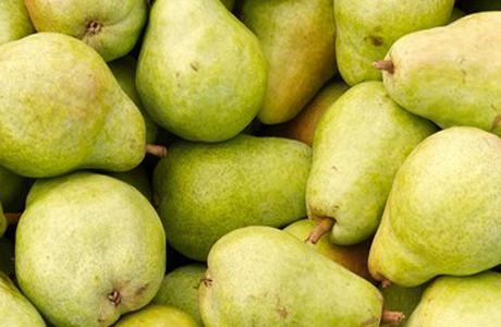 Argentyński eksport gruszek i jabłek do Rosji został anulowany