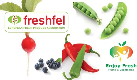 Komunikat Freshfel. Nadal istnieją obawy dotyczące stabilności rynku owoców i warzyw