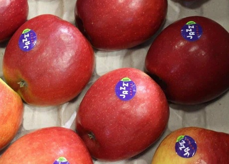 Nowa Zelandia:T&G Global zaczyna sezon eksportowy z jabłkami Jazz