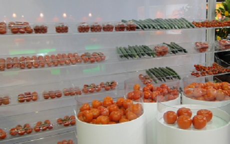 Rosji brakuje warzyw - znosi ograniczenia w imporcie z kilku krajów
