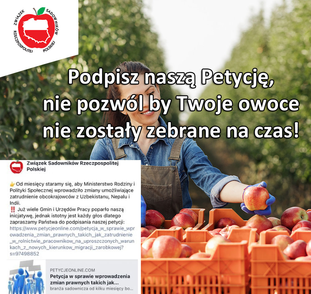 Pół miliona cudzoziemców mniej na polskim rynku pracy.