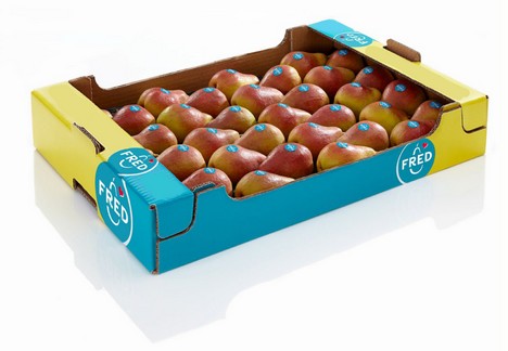 Belgia: w przyszłym tygodniu rusza sprzedaż gruszek Fred