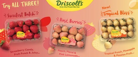 Najnowsze owoce firmy Driscoll