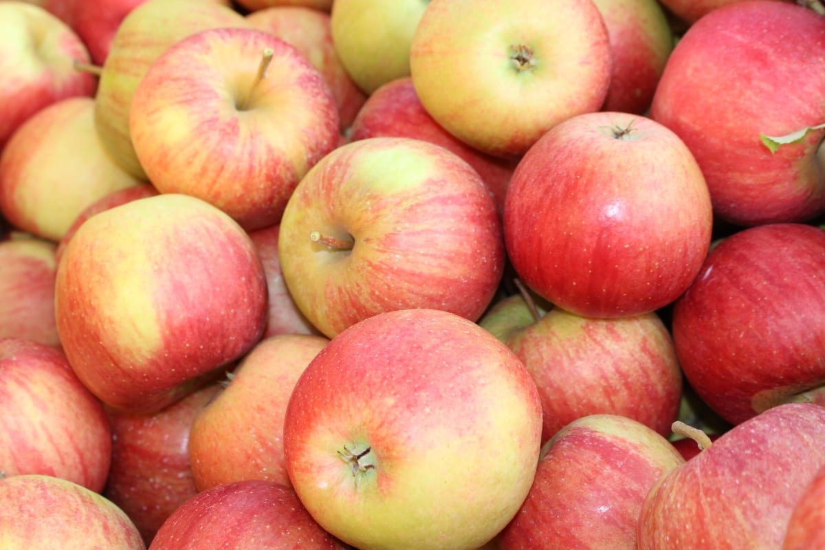 Świat: Uzbekistan i Turkmenistan gwałtownie zwiększają import jabłek z Iranu w 2022 r.