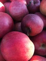 Ceny jabłek na rynkach hurtowych – 3 kwietnia 2023 