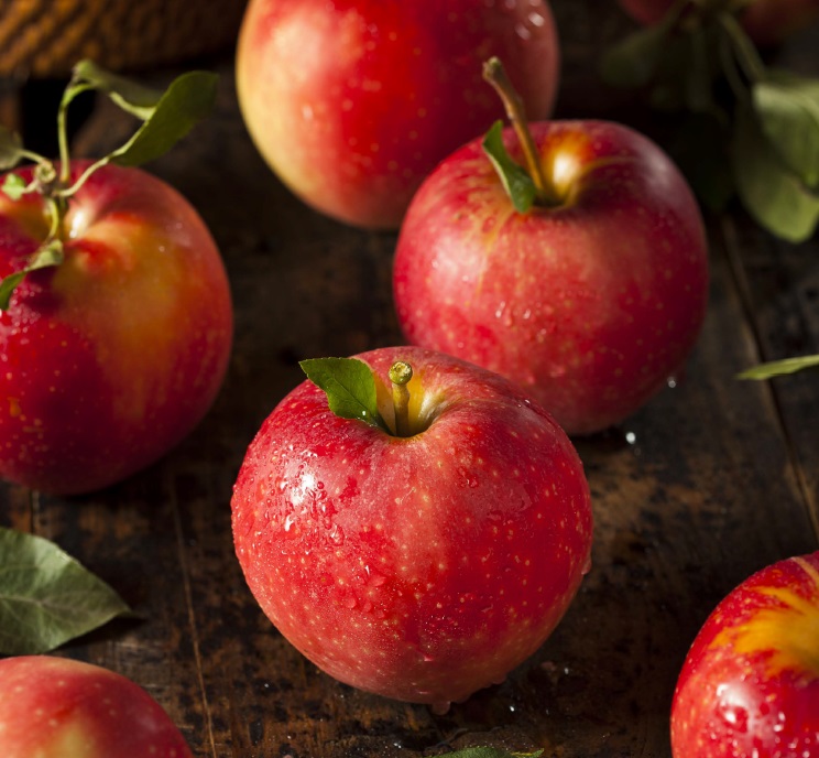 BayWa Obst rozpoczyna sezon ekologicznych jabłek z nową technologią sortowania i pakowania
