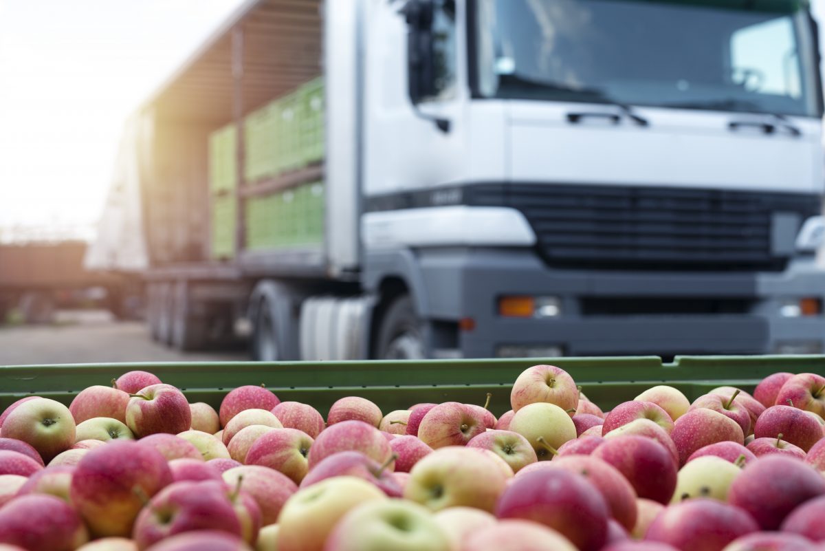 Bezcłowy handel owocami i warzywami z Ukrainy przedłużony o rok.