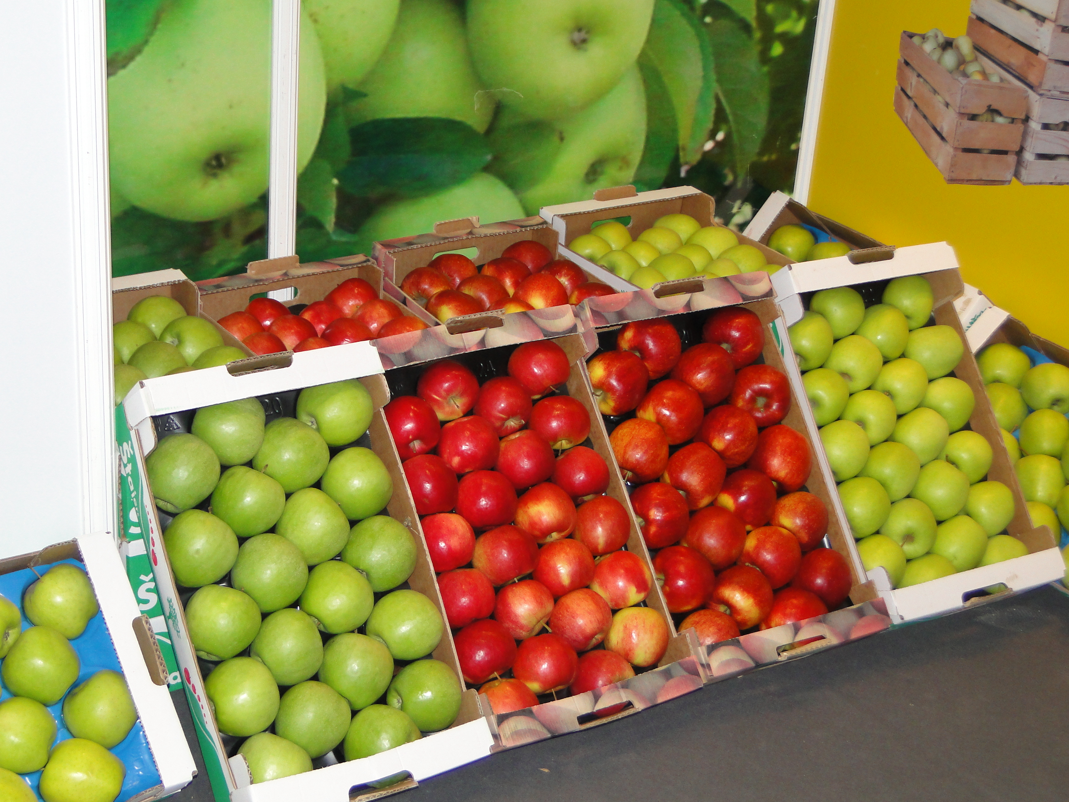 Ukraina dostarcza jabłka do Etiopii