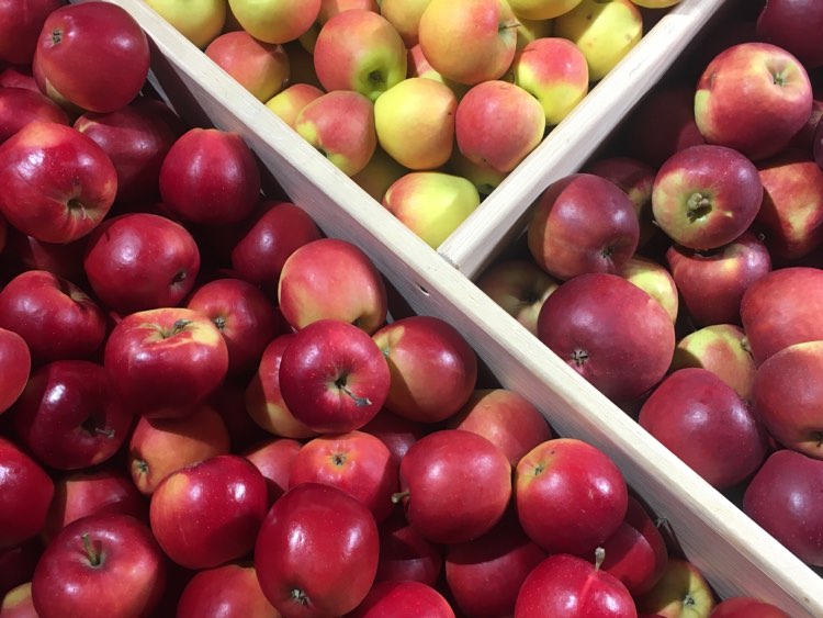 Świat : We Francji więcej jabłek w magazynach i 50% mniej gruszek